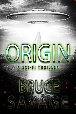 Cover of the book Origin by Nicole Joens