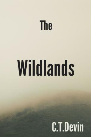 bigCover of the book The Wildlands by 