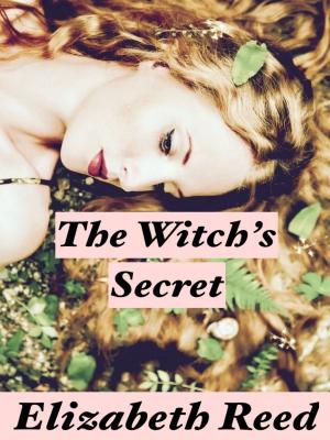 Book cover of The Witch’s Secret
