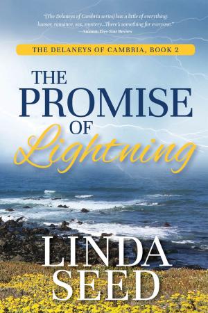 Cover of The Promise of Lightning