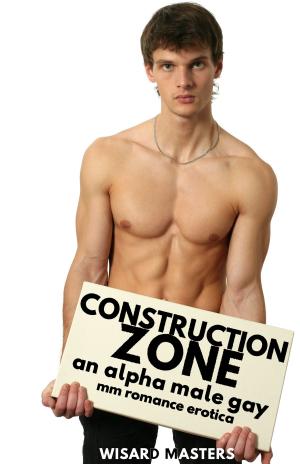 Cover of the book Construction Zone by Joan Silvetti