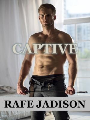 Cover of the book Captive by Jennifer Blair