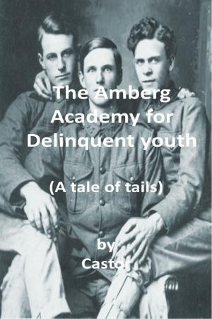 Cover of the book The Amberg Academy for delinquent youth: (A 19th Century Tale of Tails) by Lee Lynch, S. Renee Bess