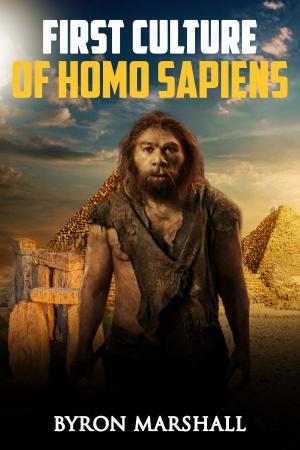 Book cover of First Culture of Homo sapiens
