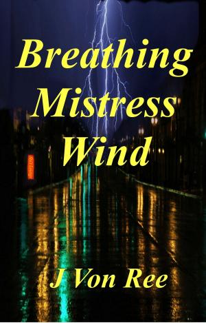 Cover of the book Breathing Mistress Wind by Charles Schabel