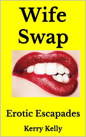 Book cover of Wife Swap Erotic Escapades