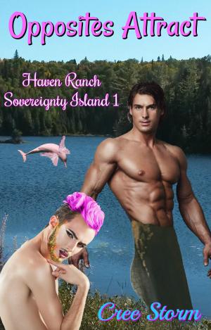 Cover of the book Opposites Attract Haven Ranch Sovereignty Island 1 by Maggie Walsh, Cree Storm