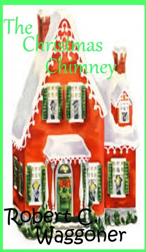Book cover of The Christmas Chimney