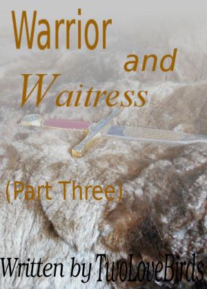 Cover of Warrior and Waitress (Part Three)