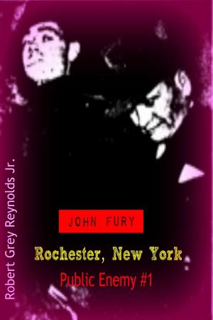 Cover of the book John Fury Rochester, New York Public Enemy #1 by Robert Grey Reynolds Jr