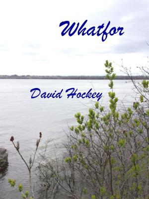 bigCover of the book Whatfor by 