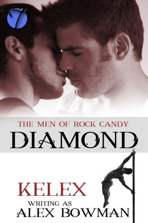 Cover of the book Diamond by Victoria Vallo