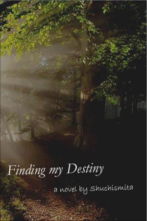 Cover of the book Finding my Destiny by Akita StarFire