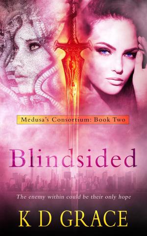 Cover of the book Blindsided by L. Ayala