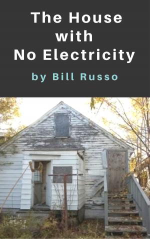 Cover of the book The House With No Electricity by Bill Russo