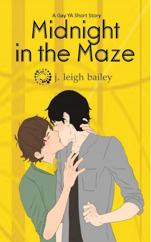 Book cover of Midnight in the Maze