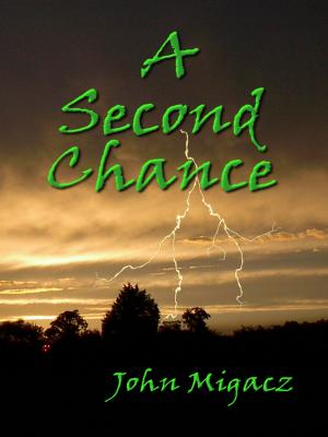 Cover of the book A Second Chance by Tahlia Newland, 20 Other Awesome Indies Approved Authors