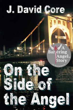 Cover of the book On the Side of the Angel by Anna Renee