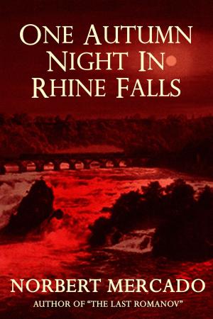 Cover of the book One Autumn Night In Rhine Falls by A.E. Hodge
