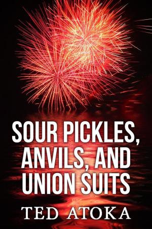 Cover of Sour Pickles, Anvils, and Union Suits by Ted Atoka, Huntington House Press