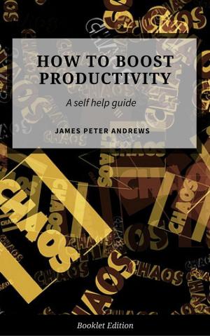 Cover of the book How to Boost Productivity by Janet Amber