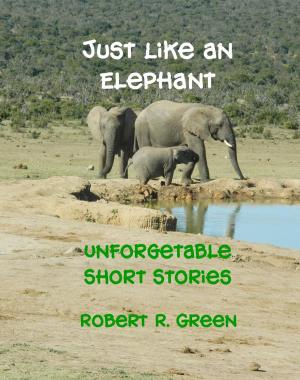 Book cover of Just Like An Elephant
