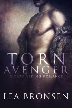 Cover of the book Torn Avenger by Jill Liddington