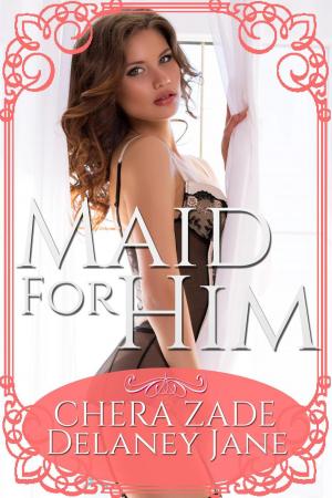 Cover of the book Maid for Him by Delaney Jane, A Lady, Chera Zade