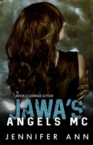 Cover of the book Damage & Fear by Lindsay Paige