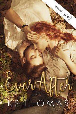 Cover of the book EverAfter by Robin Stone