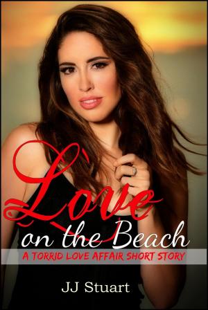 Cover of the book Love on the Beach by J.C. Reed