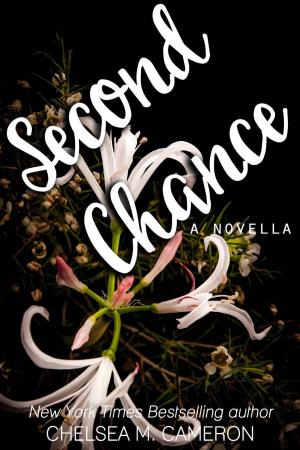 Cover of the book Second Chance by Sara Hubbard