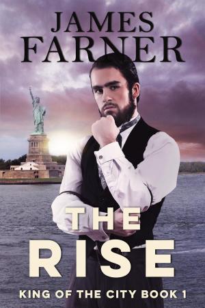 bigCover of the book The Rise by 