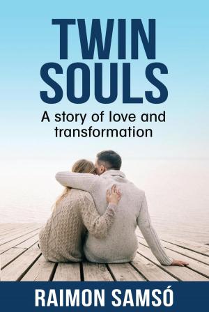 Cover of the book Twin Souls by Sally Eichhorst