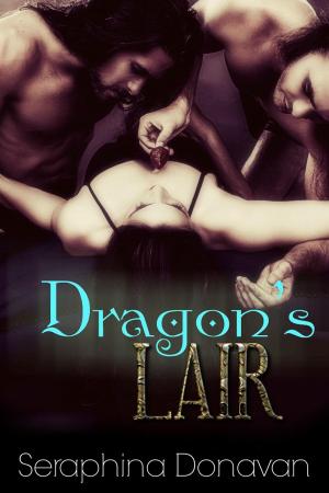 Cover of the book Dragon's Lair by Meredith Spies