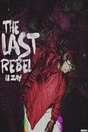Cover of the book The Last Rebel by 巴布．狄倫