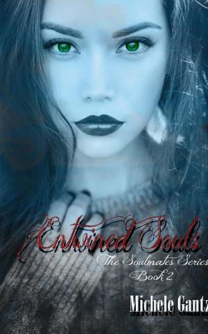Cover of the book Entwined Souls by Amber Michelle Cook