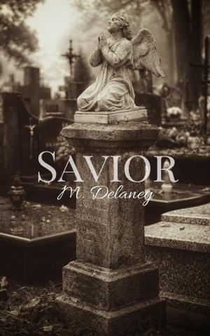 Cover of the book Savior by Erin Osborne