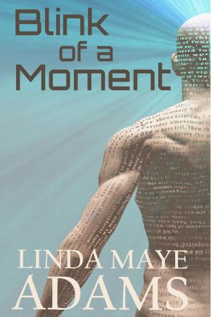 Cover of the book Blink of a Moment by Linda Maye Adams