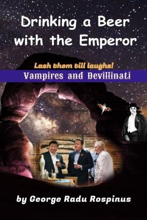 Cover of the book Drinking a Beer with an Emperor by Karen C. Brown