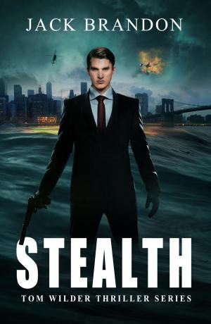 Cover of the book Stealth by A. G. Lyttle