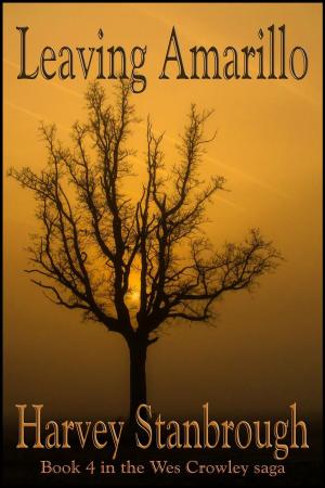Cover of the book Leaving Amarillo by Nicolas Z Porter