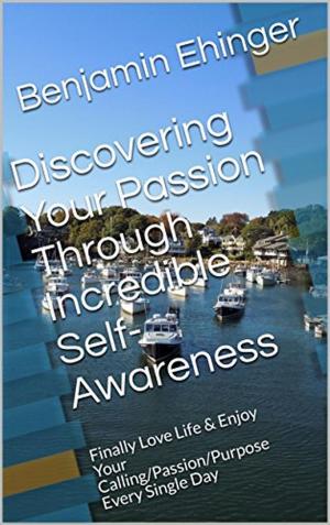 Cover of Discovering Your Passion Through Incredible Self-Awareness: Finally Love Life & Enjoy Your Calling/Passion/Purpose Every Single Day