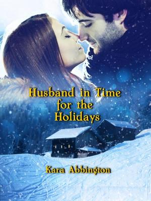 Cover of the book Husband in Time For the Holidays by Lorne Richmond