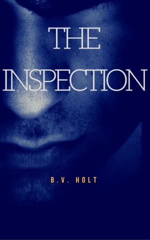 Cover of the book The Inspection by Adina Nicc