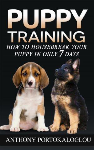 Cover of Puppy Training: How to Housebreak Your Puppy in Only 7 Days