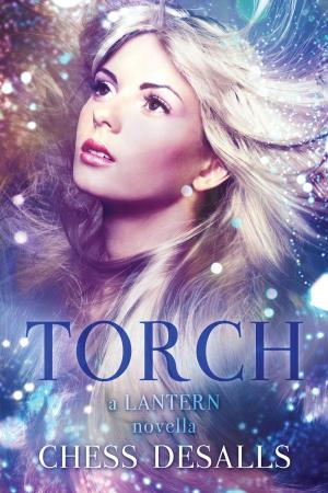 Cover of the book Torch by MAOliver