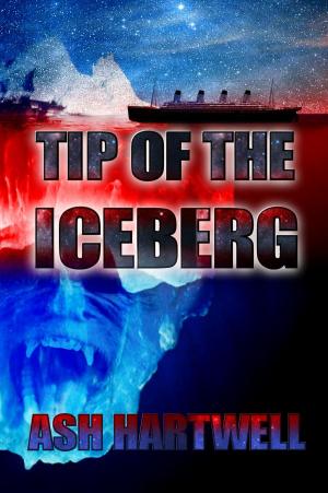 Cover of the book Tip of the Iceberg by Craig Daley