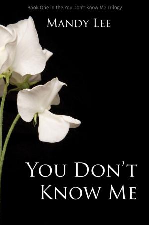 Cover of the book You Don't Know Me by Lily Snow