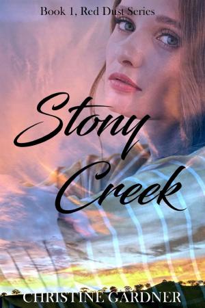 Cover of the book Stony Creek by Dan Shaurette